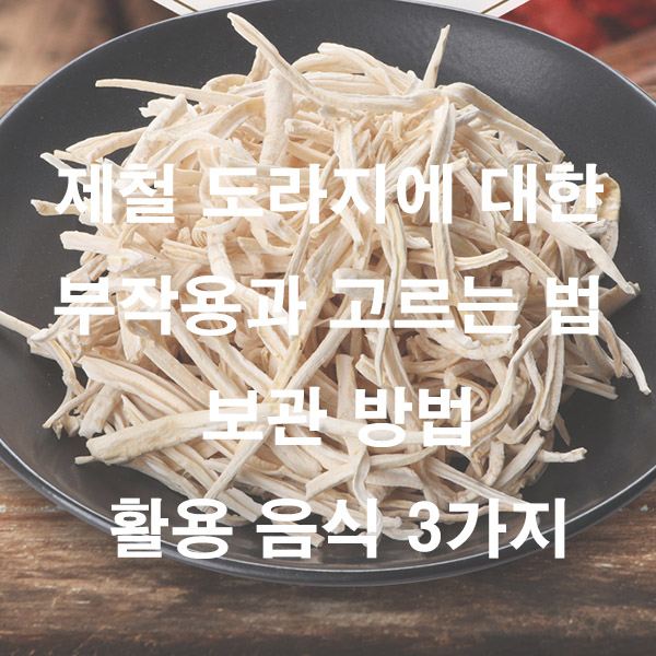 제철 도라지에 대한 부작용과 고르는 법 보관 방법 활용 음식 3가지