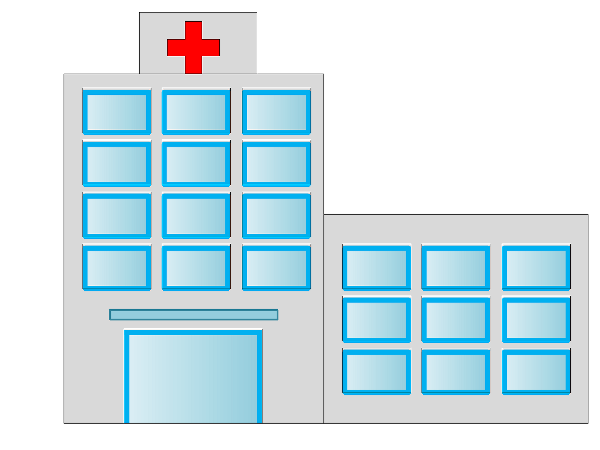 보건증 검사항목 발급방법