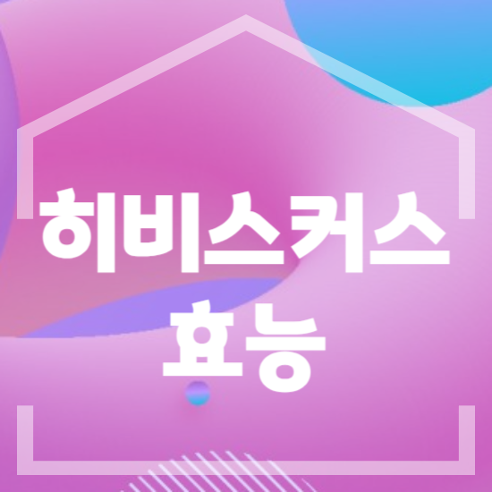 히비스커스의 효능, 히비스커스차