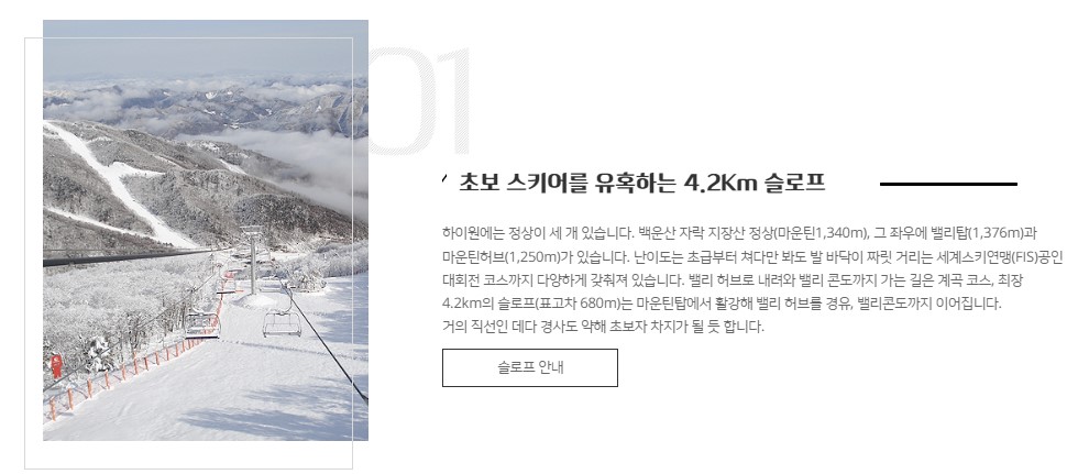 하이원-스키장-가격