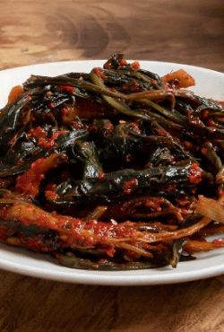 상위-접시-고들빼기-김치