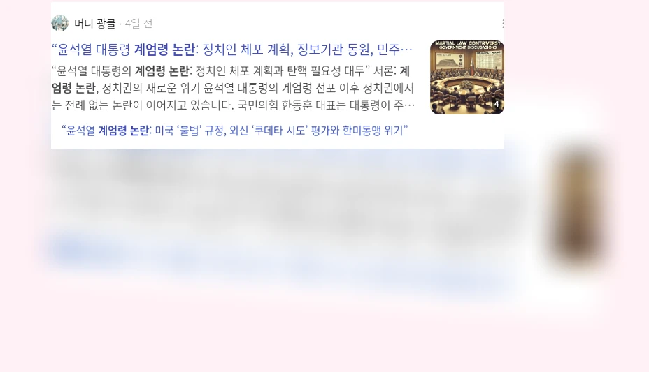 계엄령 논란_2_subsection