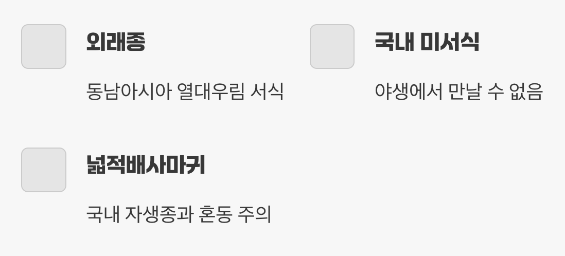 이름에 얽힌 작은 오해