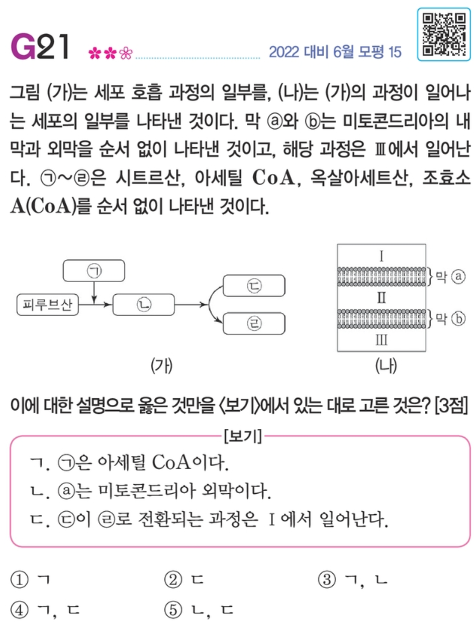 G21 문제