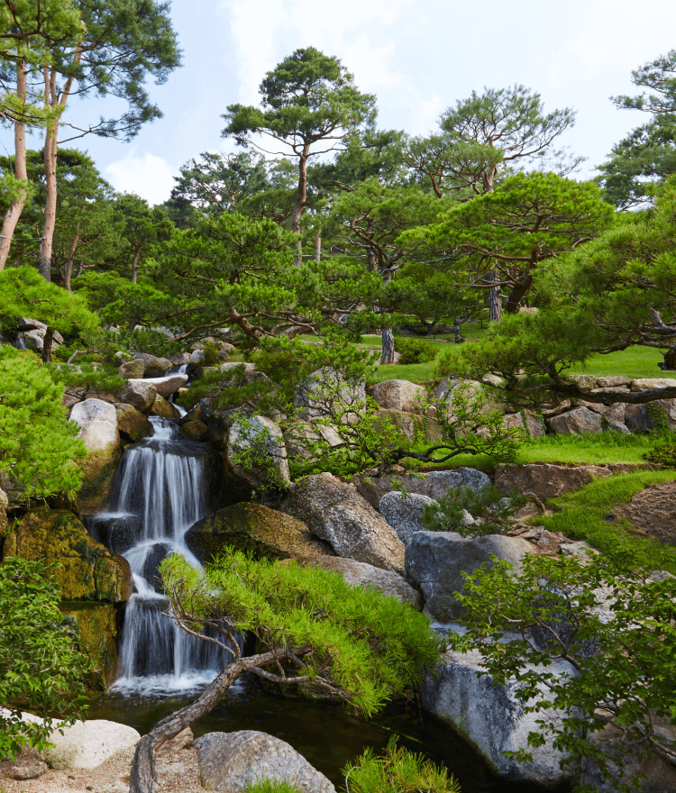 화담숲 화담채 모노레일 사전 예약, 할인받고 예매 하기