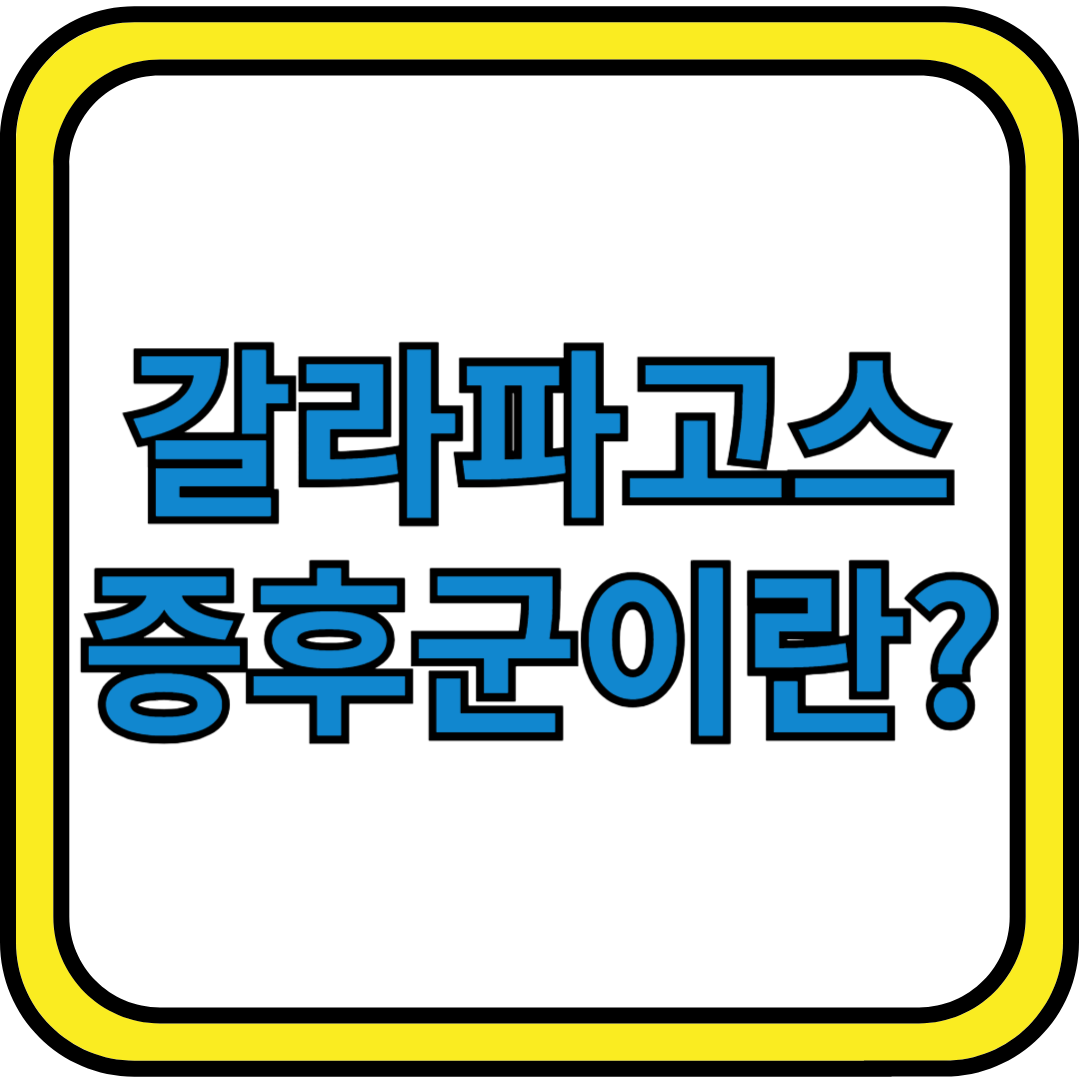 갈라파고스 증후군이란 무엇인가요?