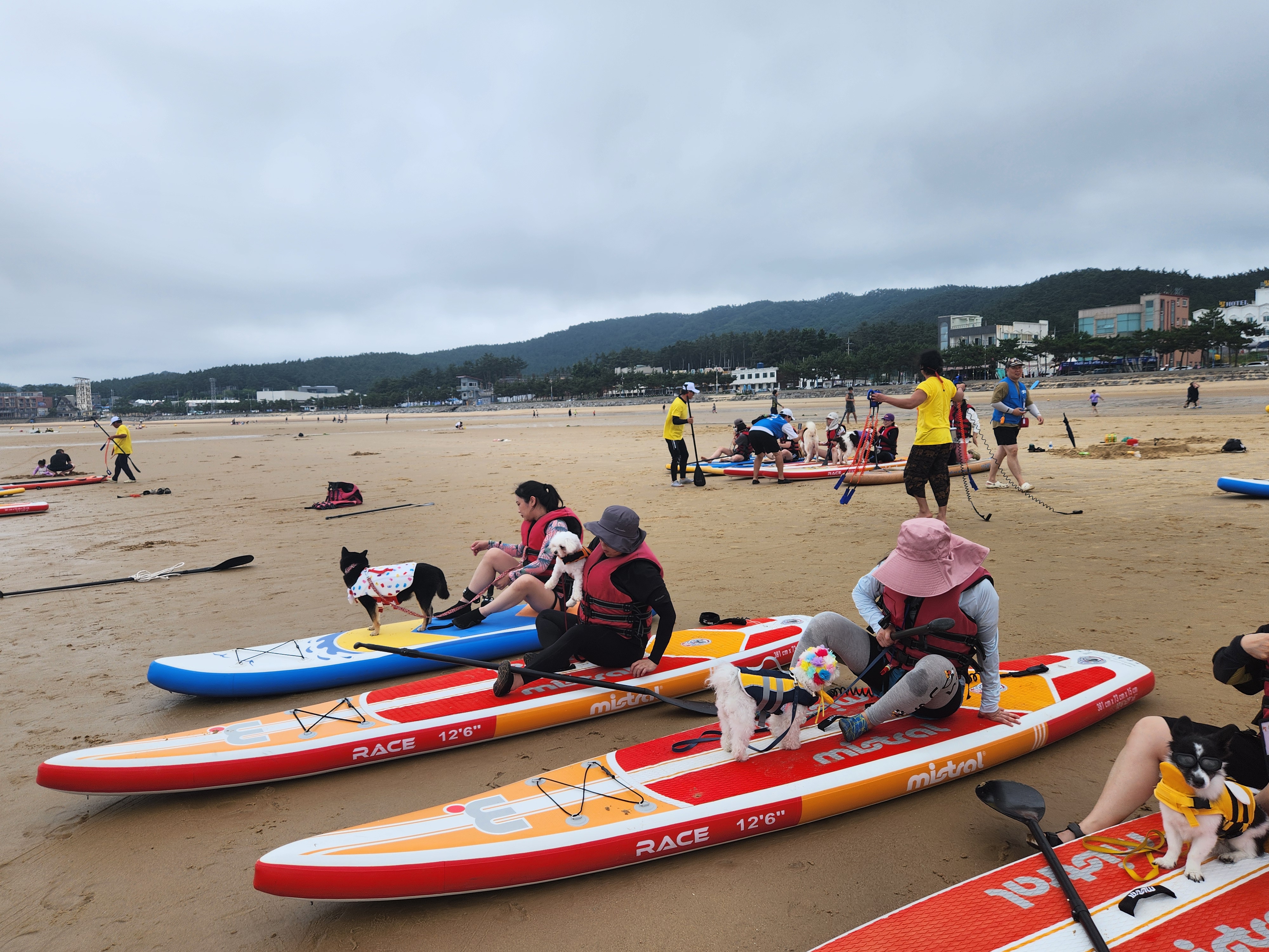 태안 패들보드 체험중