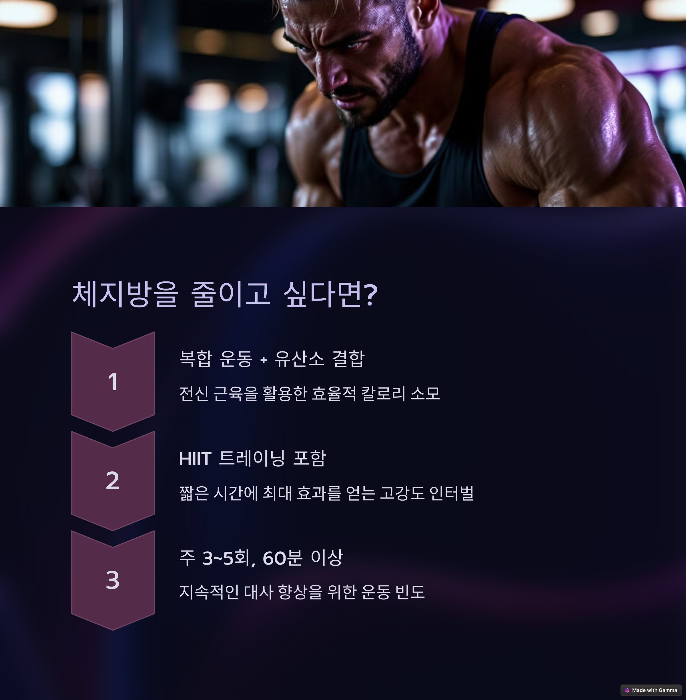 운동 프로그램 분석