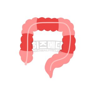 분변 잠혈검사 양성