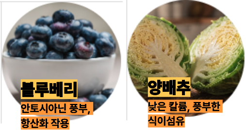 신장에 좋은 블루베리와 양배추