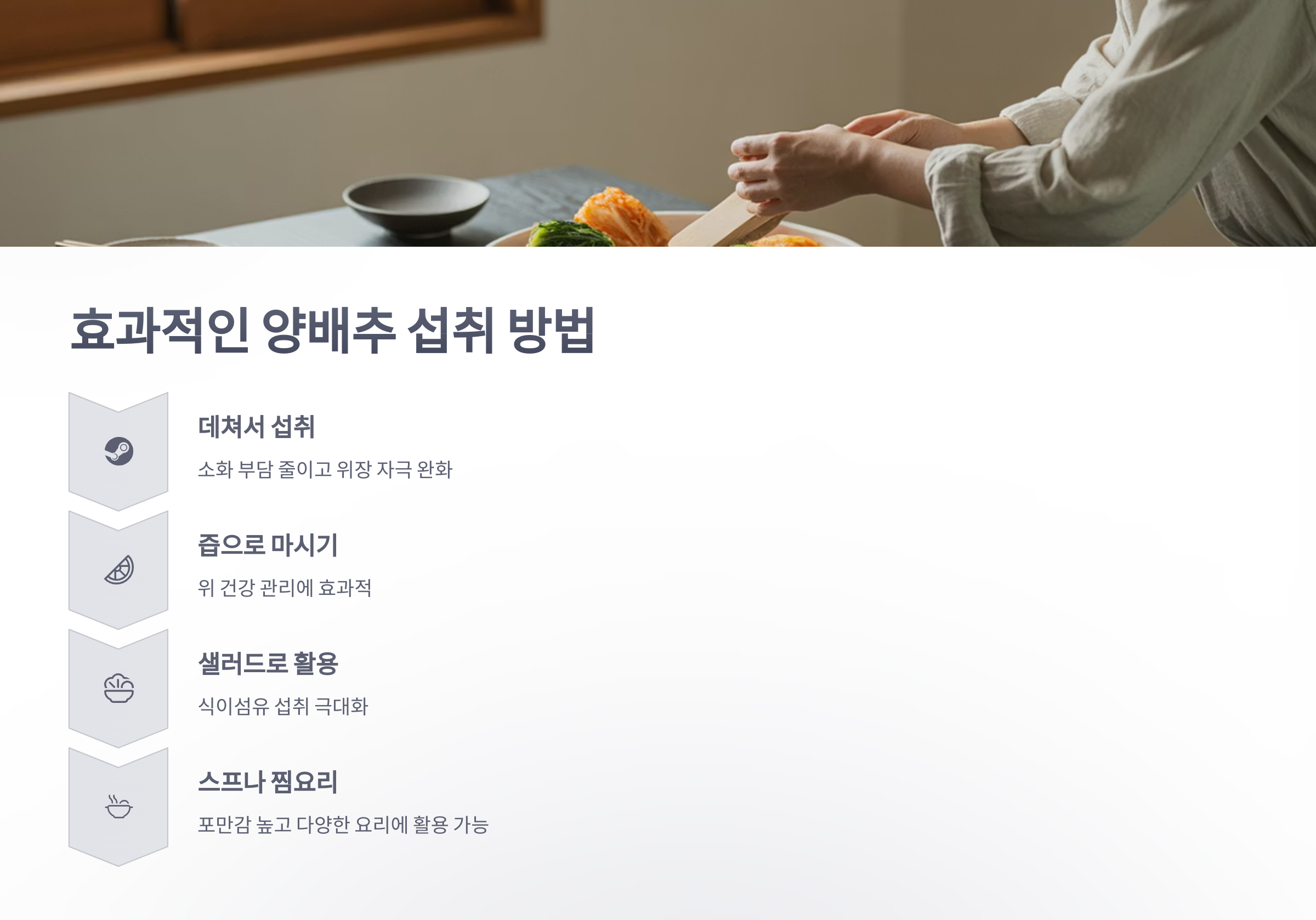 참조-양배추의-효능과-주의사항-5