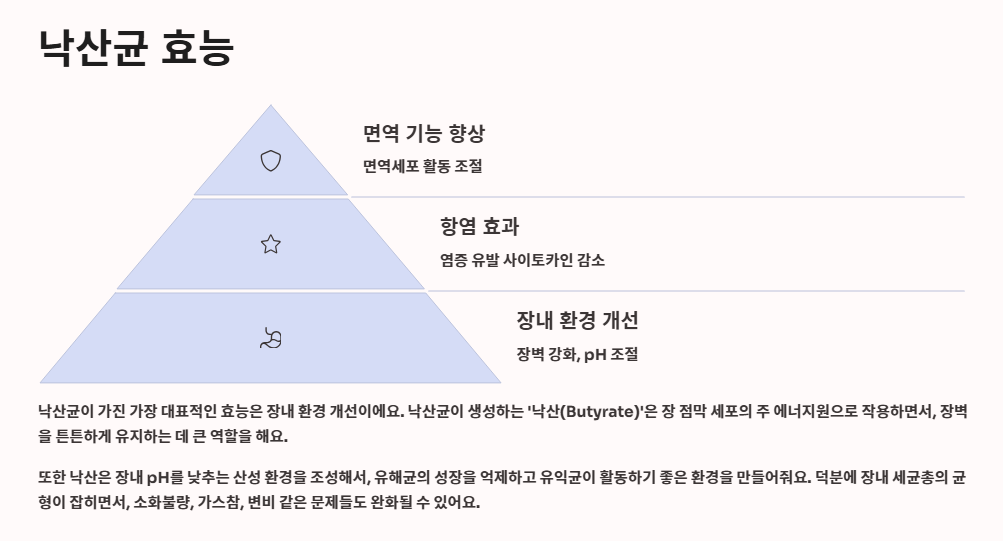 낙산균 효능, 유산균 차이, 프로바이오틱스 조합 총정리
