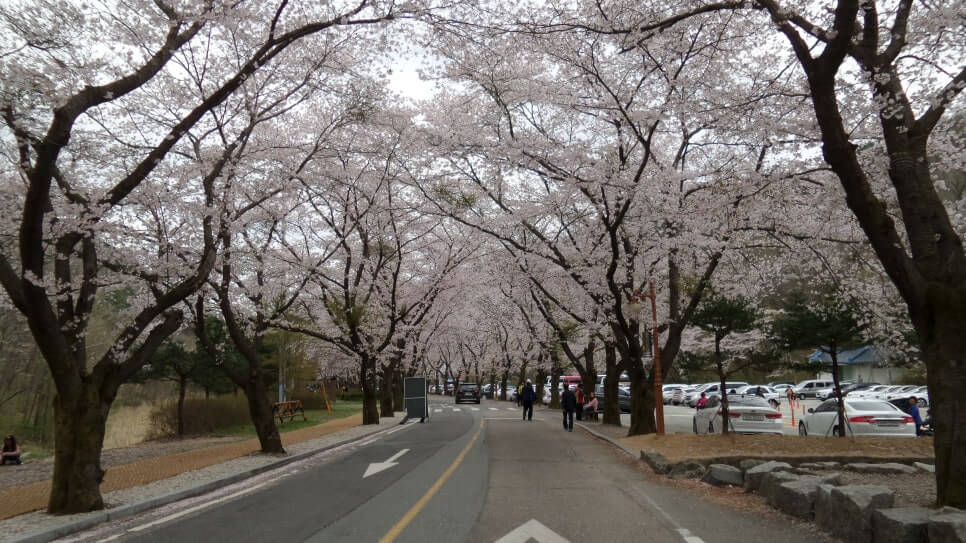 100대 명산 등산하기 서른한번째 진안 마이산 기묘한 돌산이 들려주는 자연과 시간의 이야기