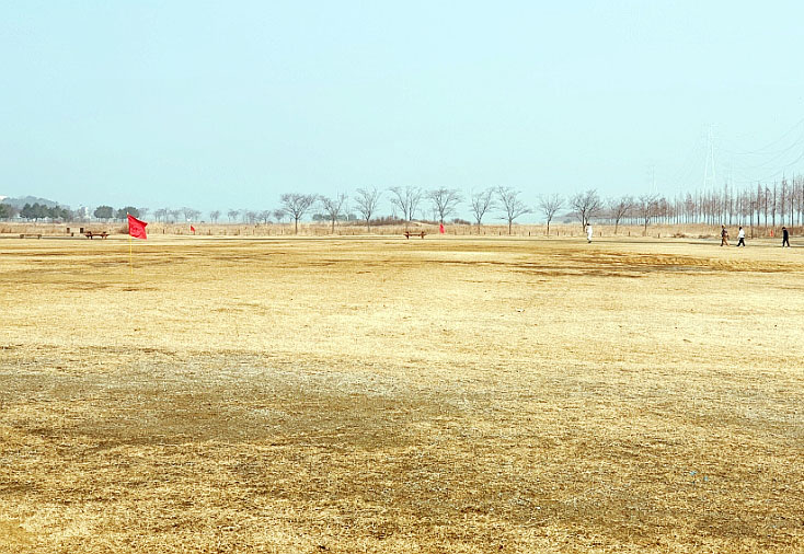 대부도파크골프장 (대부바다향기테마파크 페스티벌파크,
메타세콰이어길 파크골프장)