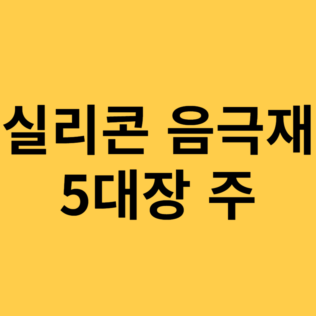 실리콘 음극재 관련 5대장 주