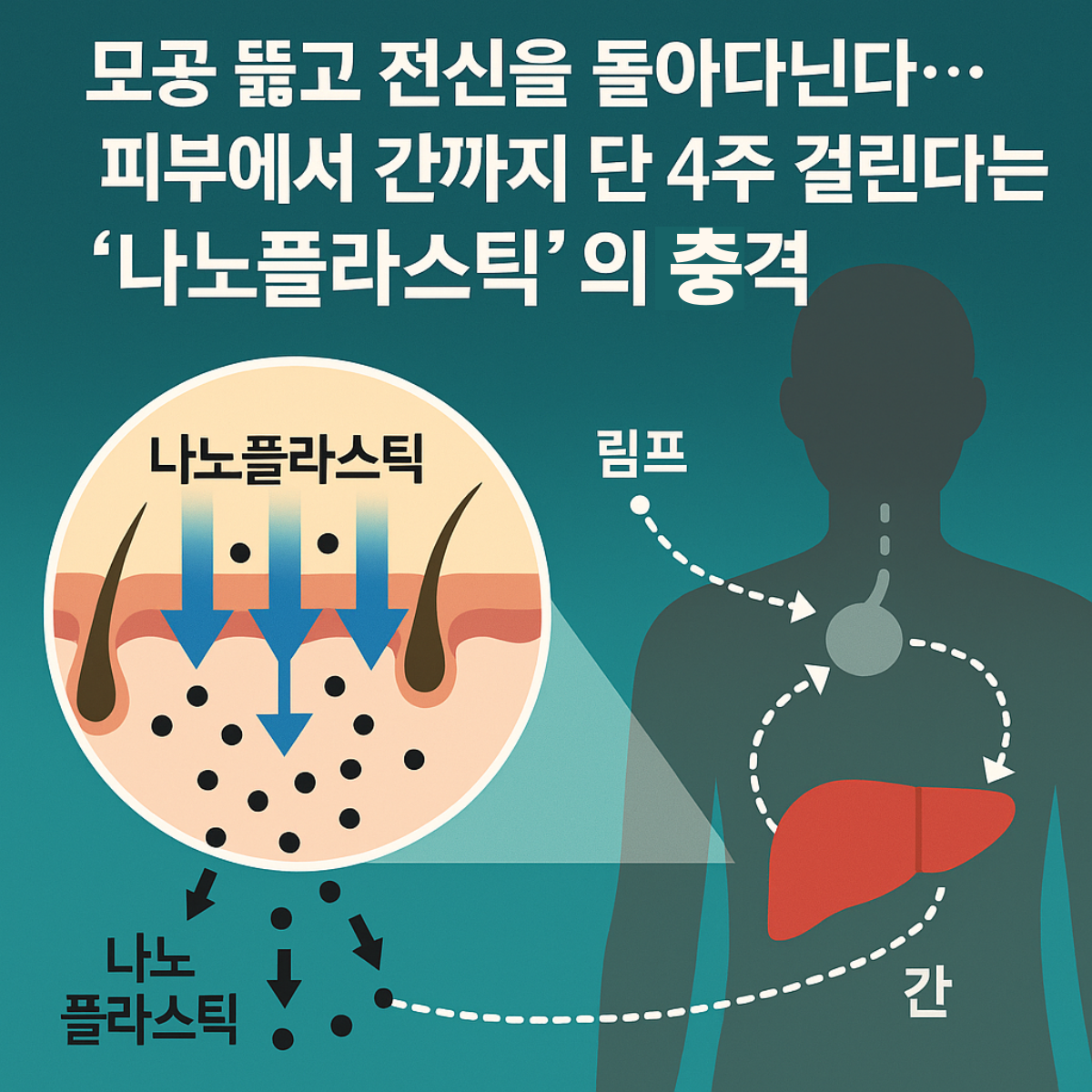 나노플라스틱이 피부 모공을 통해 침투해 림프와 간 등 전신 장기로 이동하는 과정을 설명한 경고형 인포그래픽 썸네일 이미지