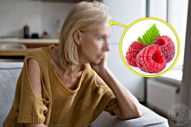 산딸기 어디에 좋은가요 산딸기 효능 치매 예방