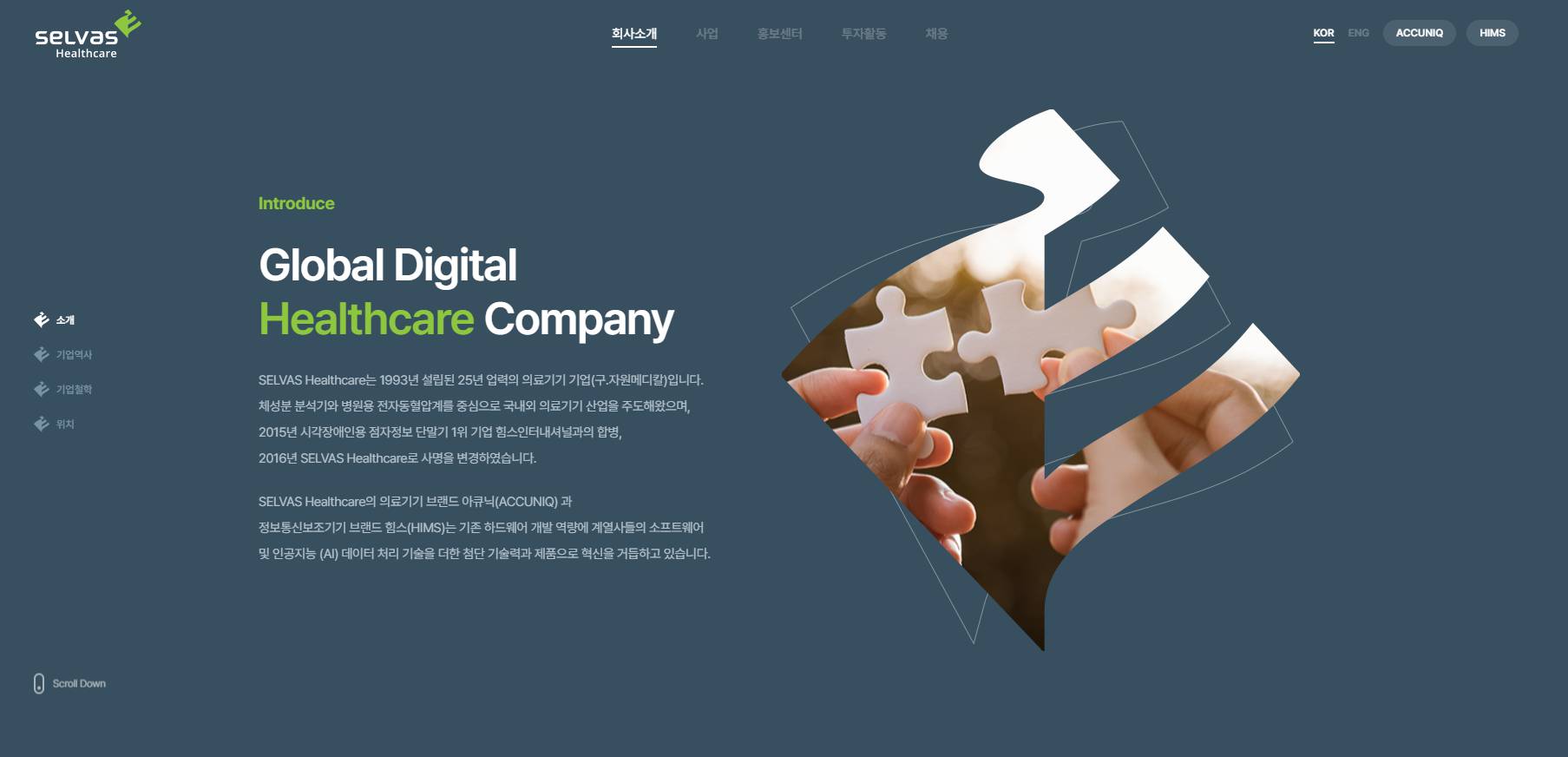 셀바스헬스케어