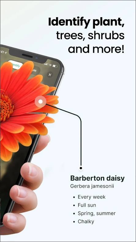 식물 식별(Plant App) 어플, AI 식물 식별 하기, 사진으로 식물 이름 찾기