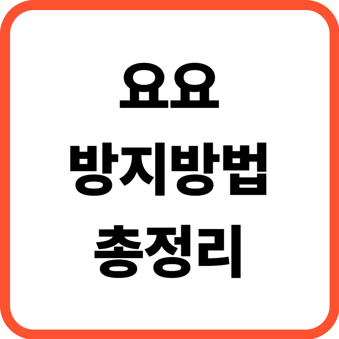 요요 방지 방법 총정리, 다이어트 후 체중이 다시 늘어나는 진짜 이유