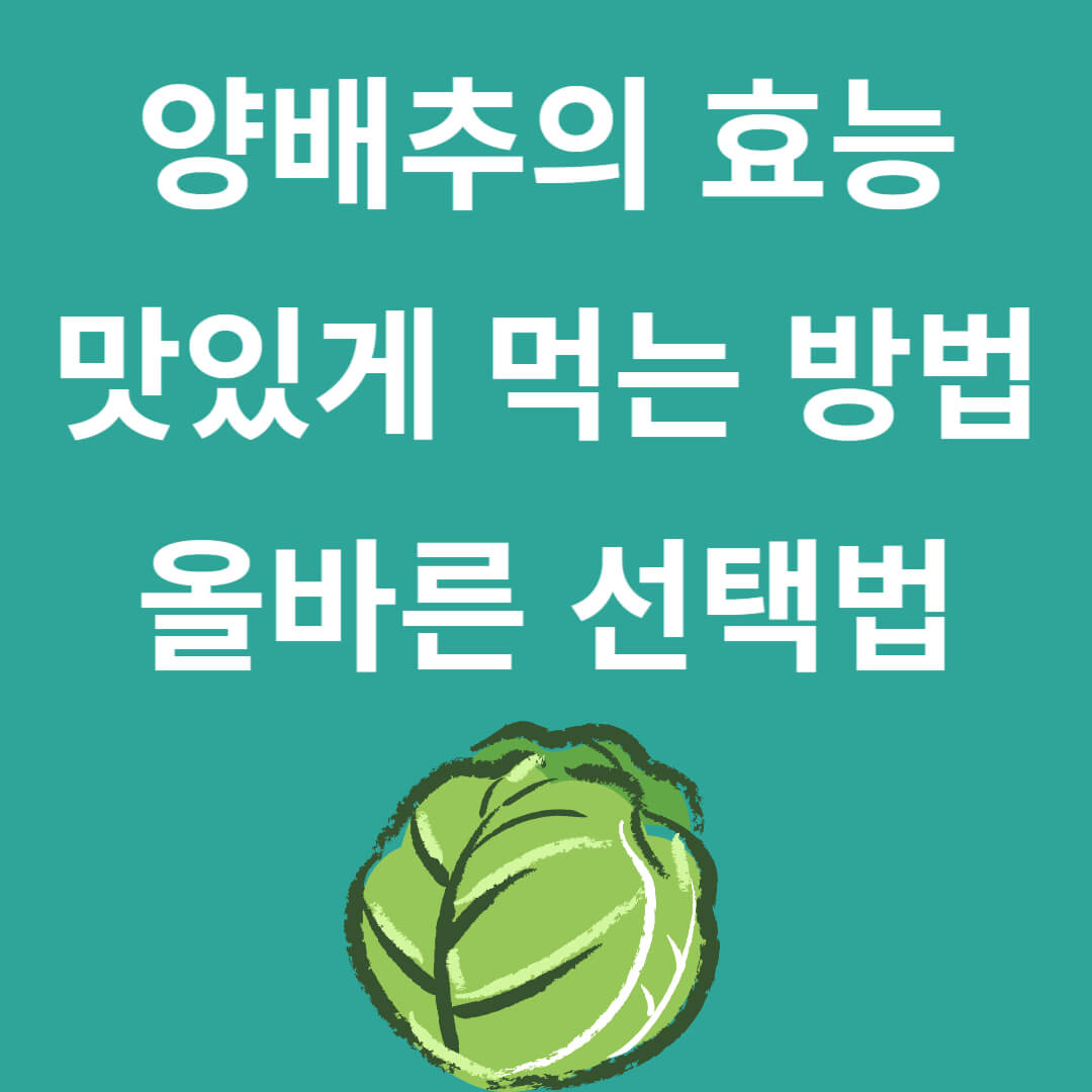 양배추의 놀라운 효능과 맛있게 먹는법, 올바른 선택