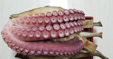 차 고사 간단하게 지내는법, 준비물