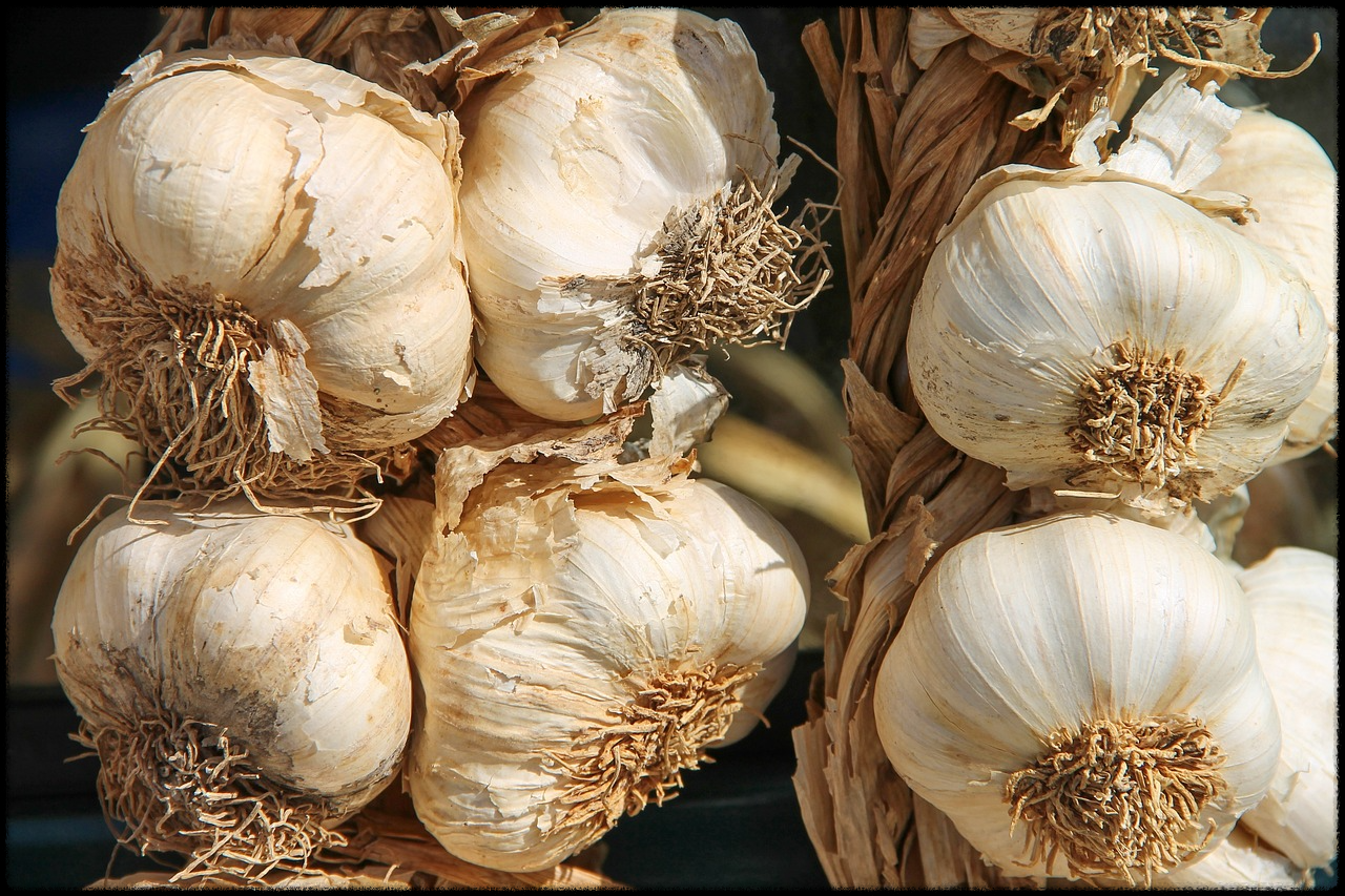 마늘 효능 이미지9