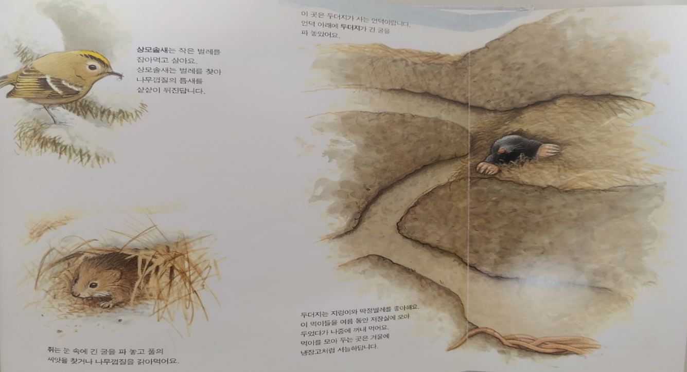 책놀이, 전래동화, 의좋은 형제