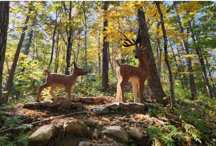 가평 가볼만한곳