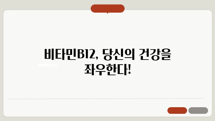 비타민B12 수치