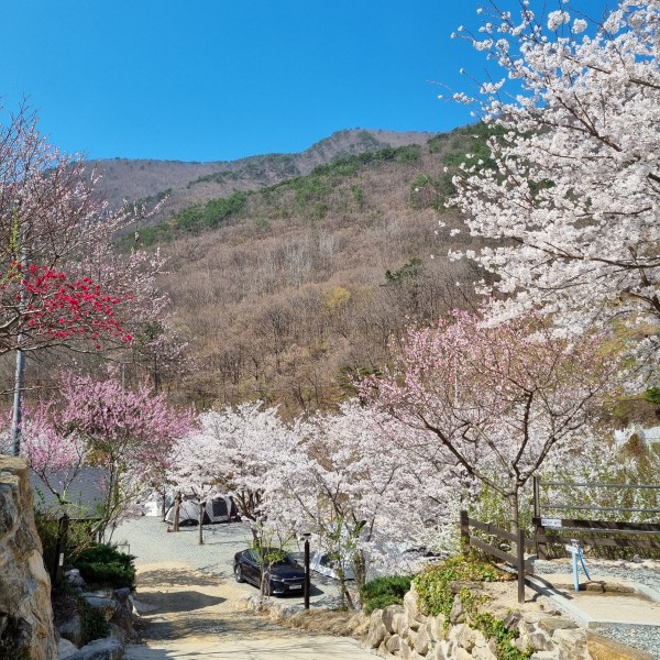 경남 무릉도원 오토캠핑장 소개