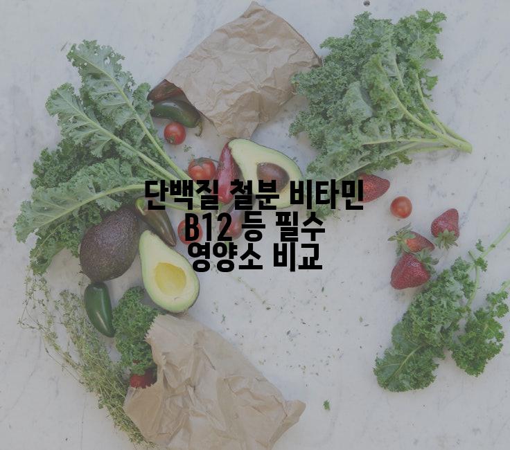 단백질 철분 비타민 B12 등 필수 영양소 비교