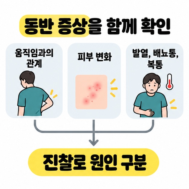 움직임과의 관계, 피부 변화, 발열과 배뇨통 및 복통을 진찰로 원인을 구분하는 과정에 연결한 도식