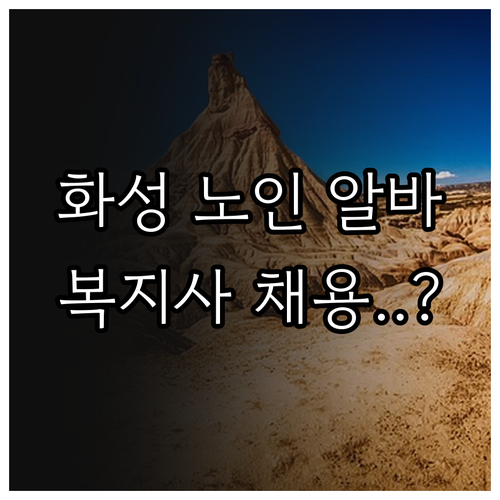 화성시 시니어클럽 노인 일자리 종류와..