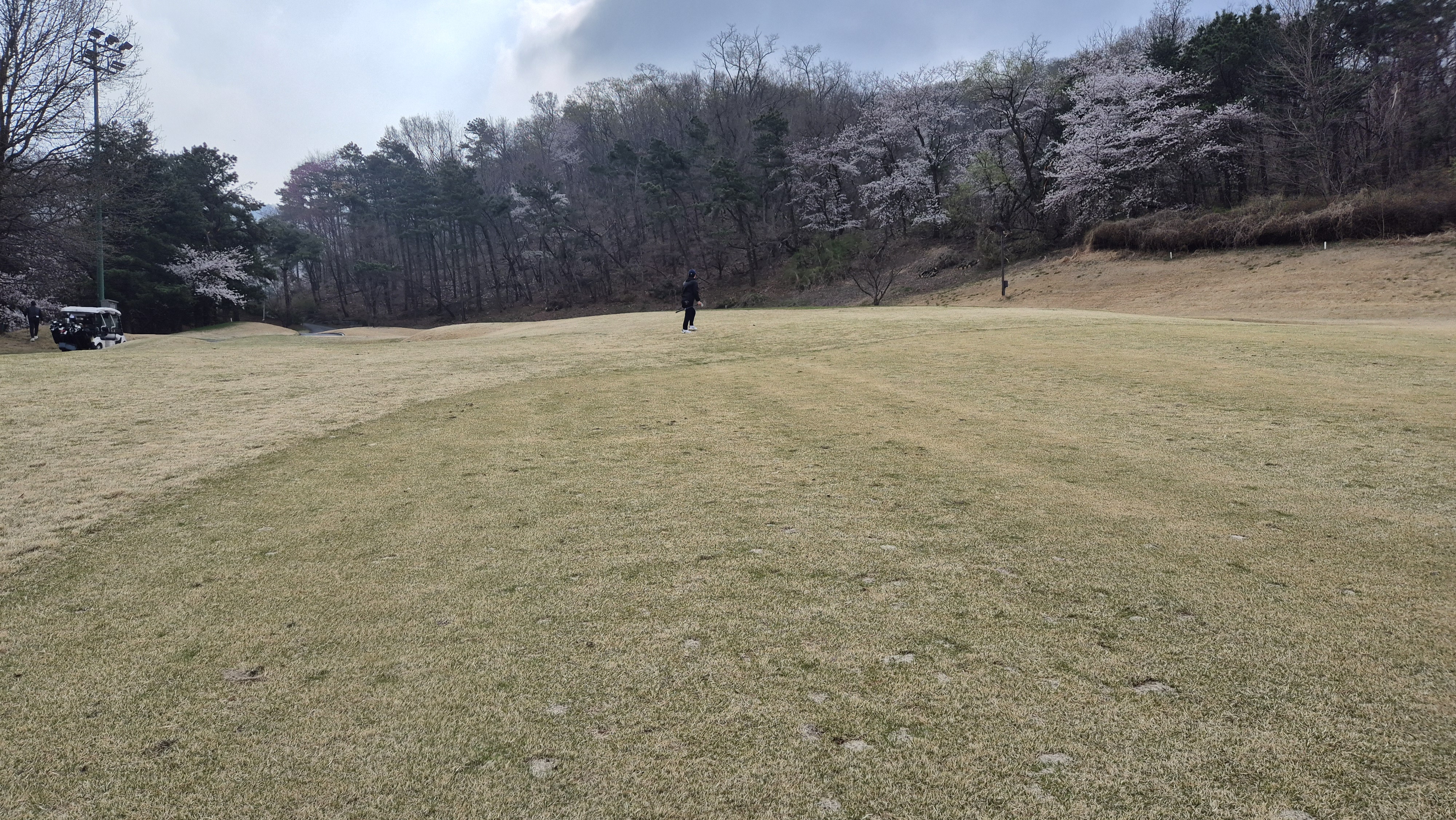 캐슬렉스cc