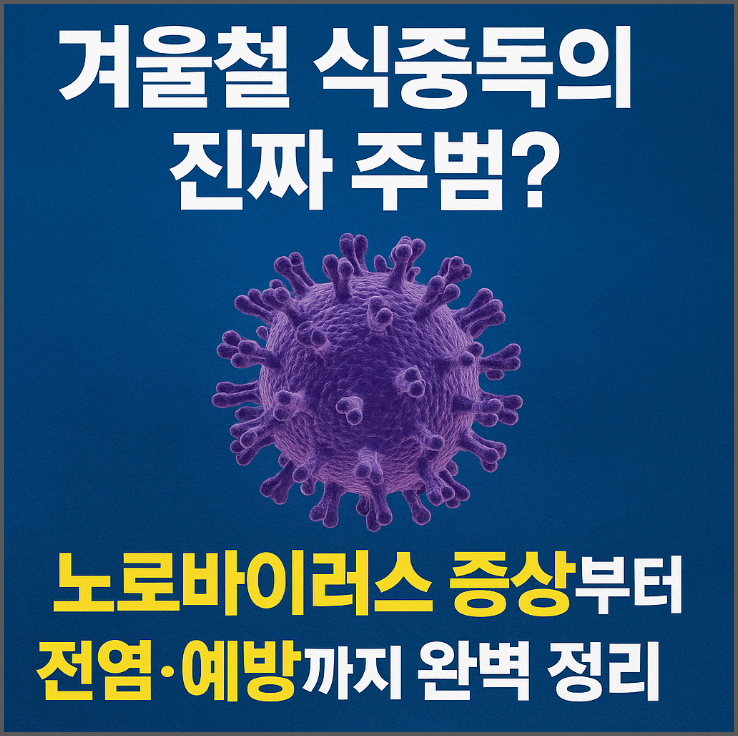 노로바이러스 증상부터 전염·예방까지 완벽 정리!