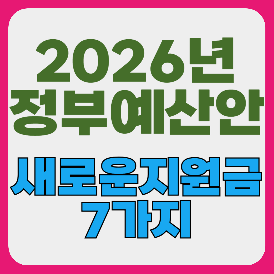 2026년 정부 지원금 예산안