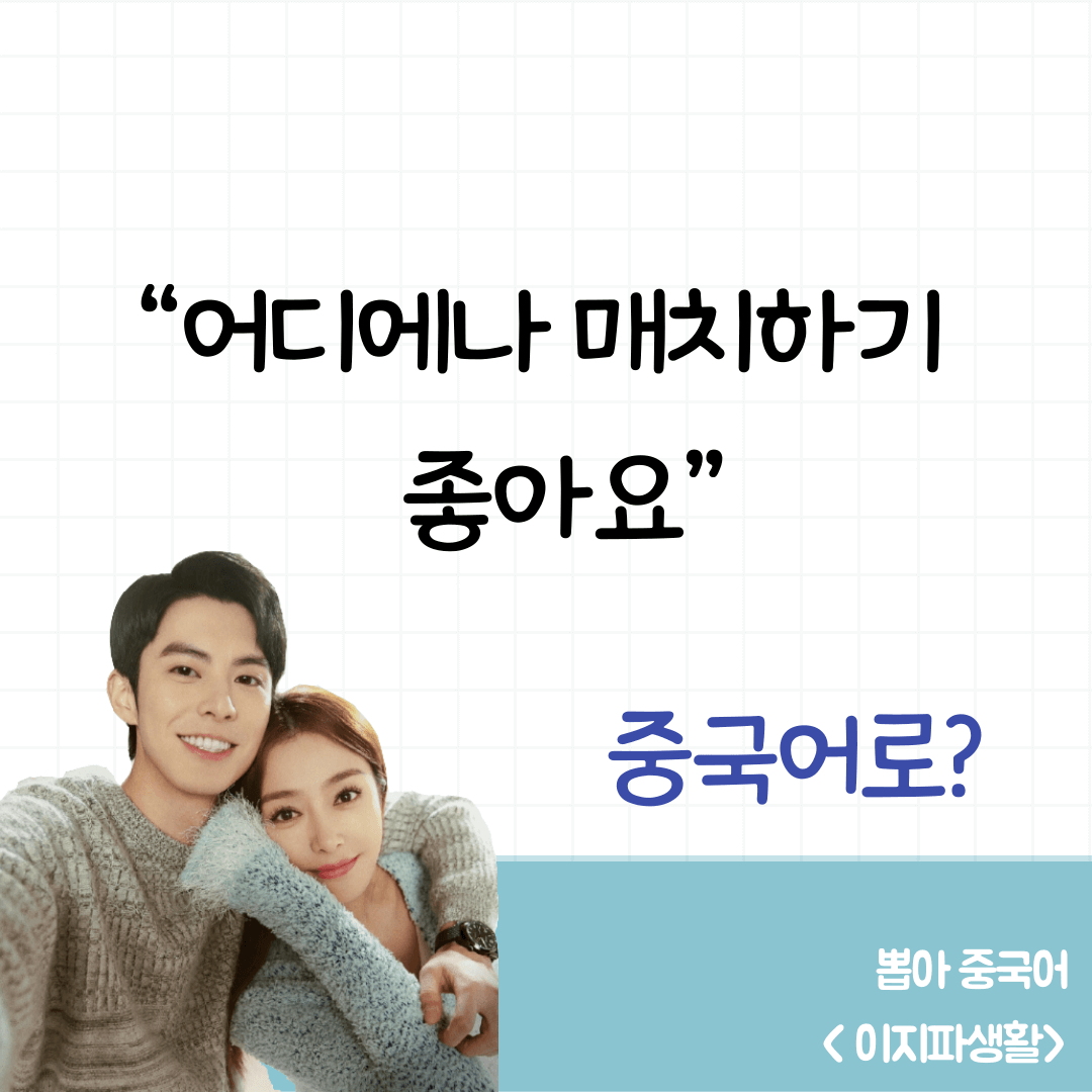 이지파생활