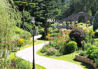 아침고요수목원 입장료 근처 맛집 펜션 추천_22