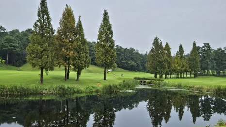 골프장 경험담 여주 세라지오CC 자연 속에서 즐기는 프리미엄 퍼블릭 골프장의 품격