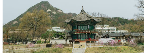 제기차기의 숨겨진 기술과 고수의 비법