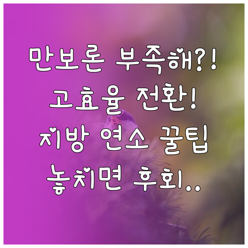 1만 보 걷기만으로 부족하다 고효율 ..