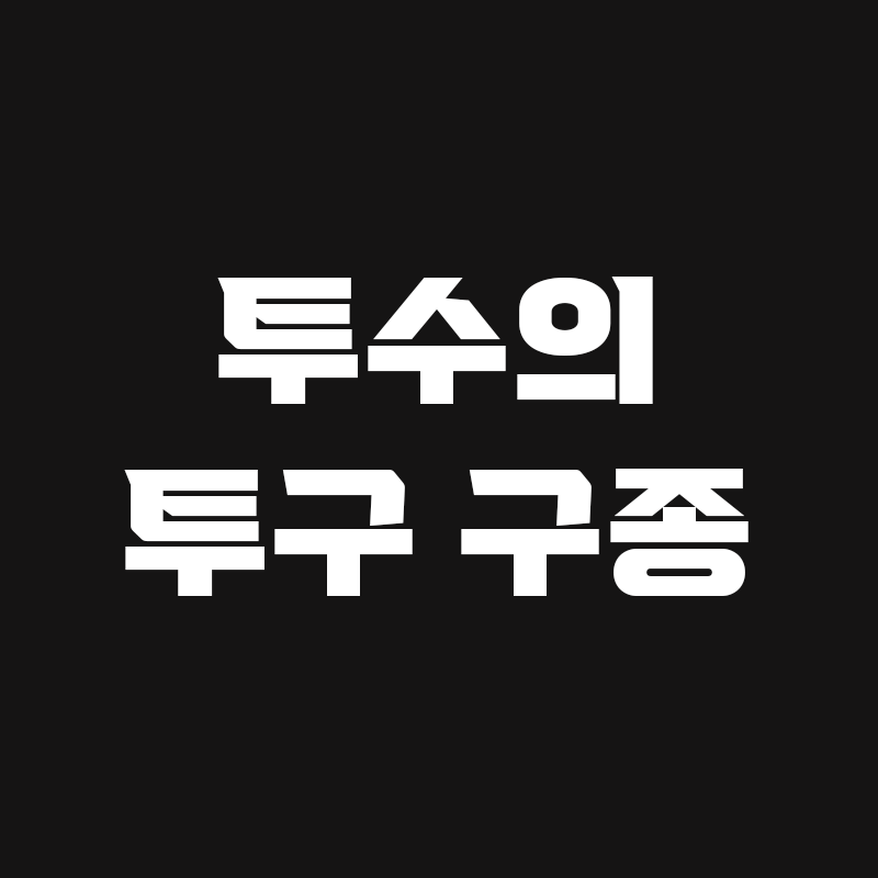 검정색 배경에 투수의 투구 구종이라고 흰색으로 적혀있는 썸네일