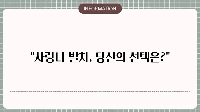 사랑니 발치 후 음식, 후 통증, 후 음주 , 후 거즈, 후 통증