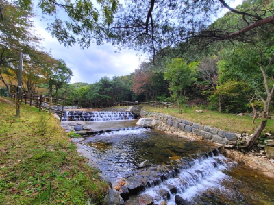 국립 용현자연휴양림 계곡