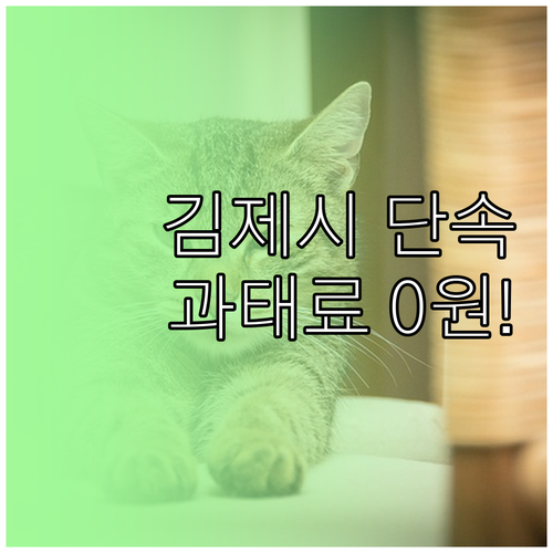 김제시 주정차단속 문자 서비스 등록하..