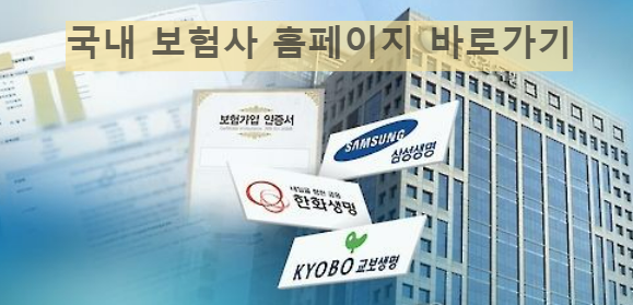 국내 보험사 홈페이지 바로가기