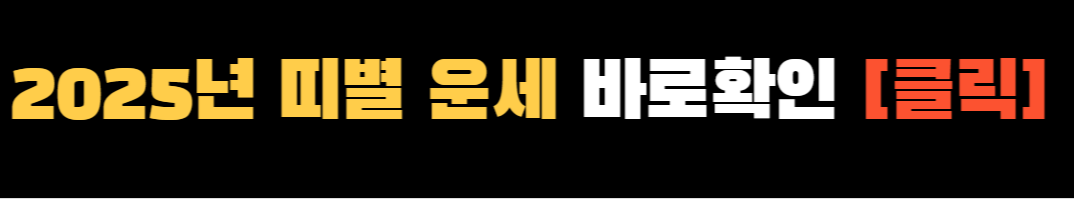 2025년 띠별운세 ❘ 2025년 삼재띠 ❘ 2025년 대박띠