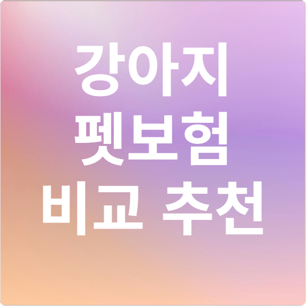 강아지펫보험 비교추천