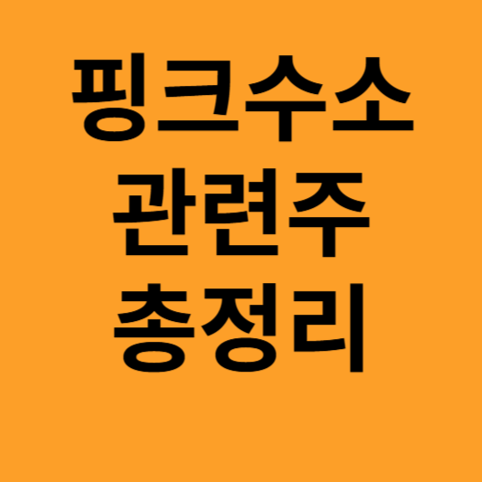 핑크수소 관련추 총정리